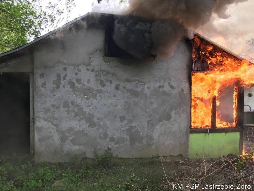 Pożar na działkach w Jastrzębiu. W wyniku pożaru konieczna...