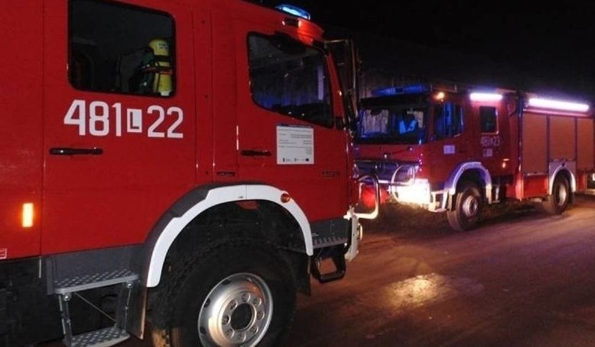 Autobus wiozący na wycieczkę uczniów ze szkoły Podstawowej w...