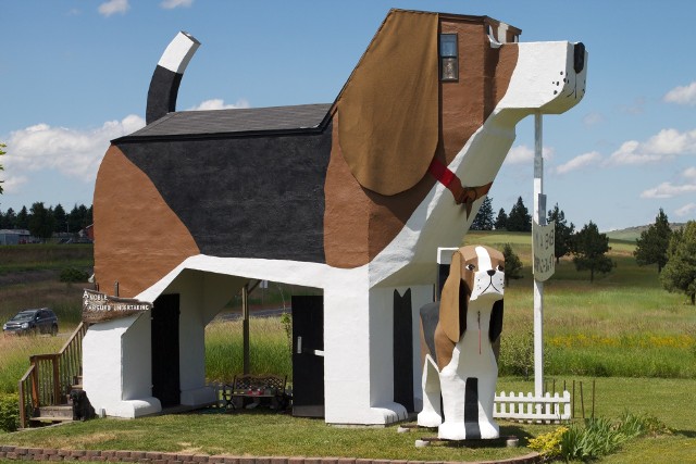 Budynek w kształcie psa z Cottonwood w Stanach Zjednoczonych. Przejdź do kolejnych zdjęć za pomocą strzałek lub gestów.Licencja zdjęcia: https://creativecommons.org/licenses/by/2.0/deed.en
