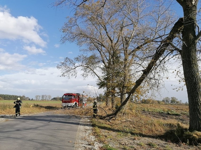 Powalone drzewa w Gąskach i Żyrosławicach