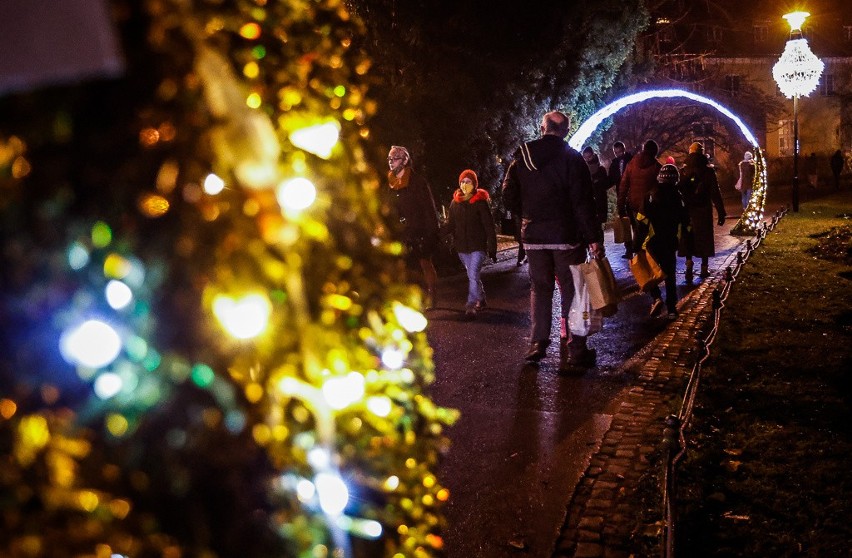 Świąteczne iluminacje w Parku Oliwskim zachwycają zwłaszcza wieczorami. To naprawdę warto zobaczyć!