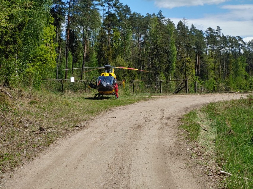 Pianki. Tragiczny wypadek podczas prac leśnych. Na kobietę spadło drzewo