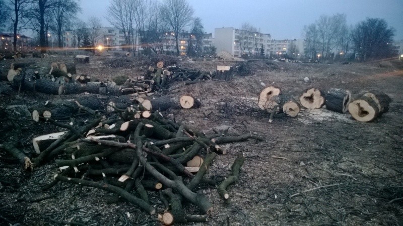 Wycinają drzewa pod centrum handlowe