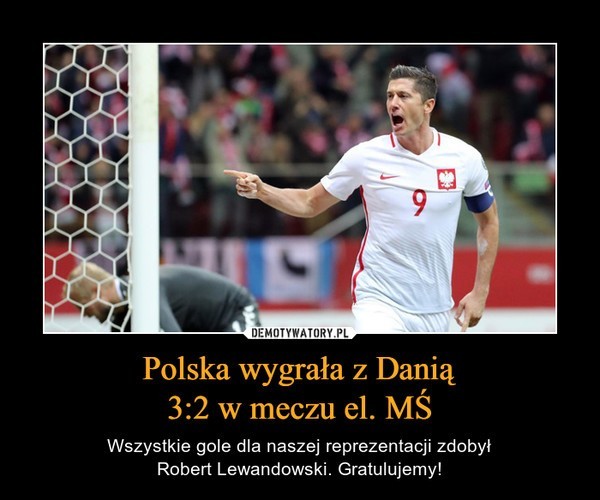 Mamy po meczu Polska - Dania