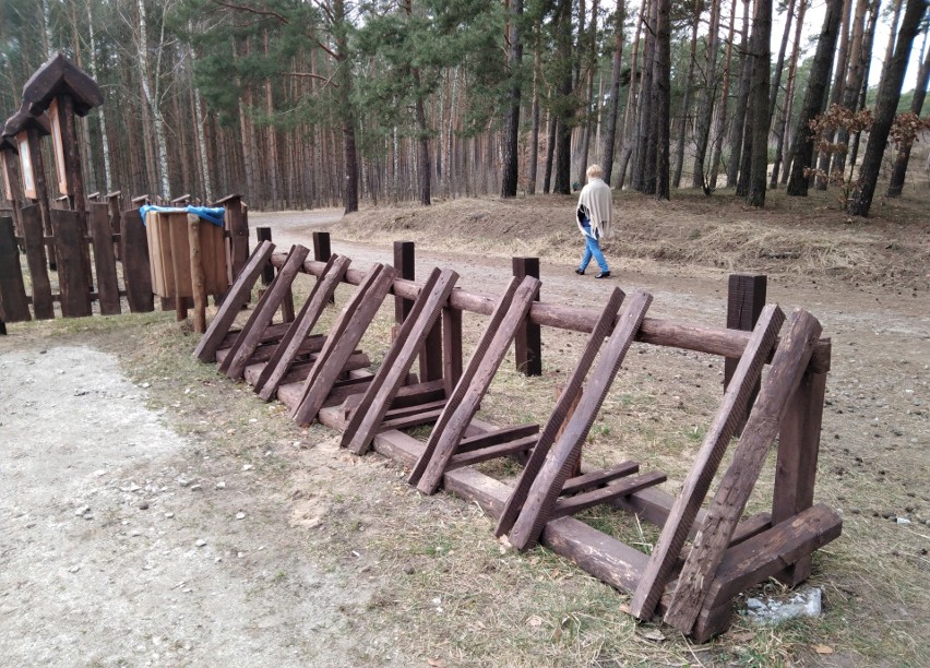 Tak prezentuje się nowy parking leśny nad jeziorem Nowym w...