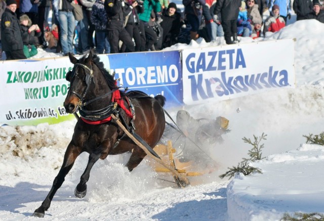 Kumoterki są pasjonujące. W Bukowinie odbędą się po raz pierwszy od ponad 2 lat. W zeszłym roku uniemożliwiła je odwilż. Zdjęcia z 2012 roku.