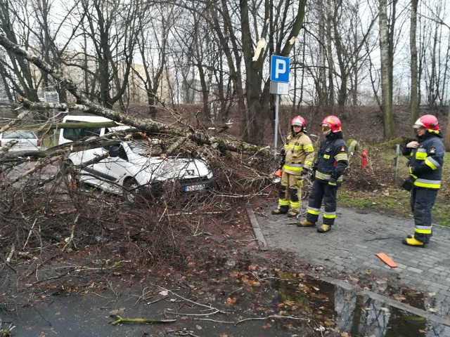 Skutki wichury w Siemianowicach Śląskich.