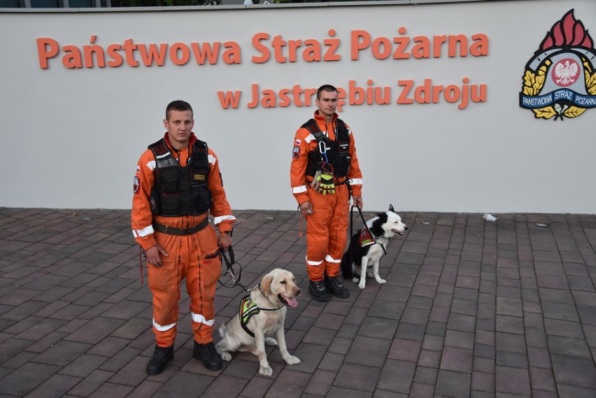 Specjalistyczne psy z Jastrzębia są gotowe pomóc w akcji na...