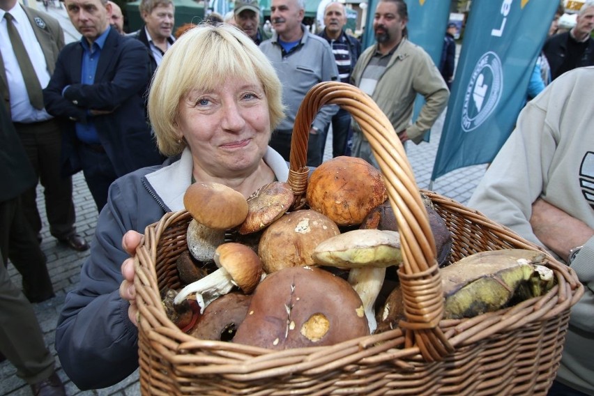 Skarbylasów w centrum Kielc. Kapuśniak od Grzegorza Russaka (WIDEO, ZDJĘCIA)