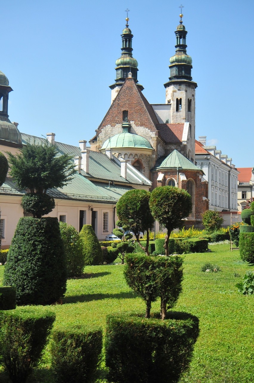 Kraków. Piękny zielony ogród przy ul. Grodzkiej, któremu nie grożą deweloperzy [ZDJĘCIA]