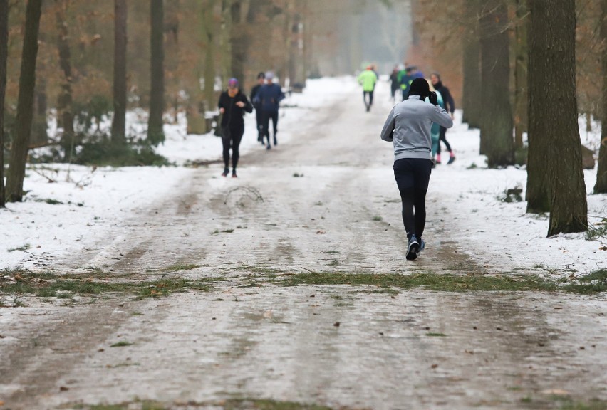 W sobotni poranek toruńscy biegacze spotkali się w lasku Na...