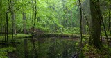 Odkryj urok Podlasia: fascynujące atrakcje i tajemnicze zakątki lasów. Ciekawe atrakcje, które warto zobaczyć