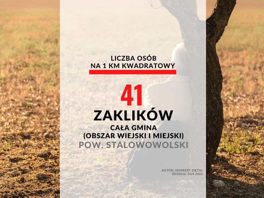 Gmina: Zaklików (obszar miejski i wiejski), pow....