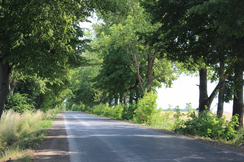 Zakończył się remont drogi powiatowej Stara Wieś – Błędów. Mieszkańcy zyskali ponad dwa kilometry nowej nawierzchni