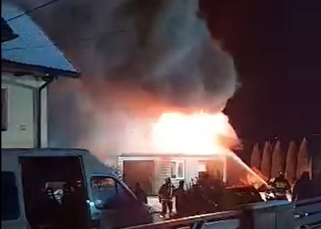 W pożarze w Ściborzycah zginął źrebak. Z żywiołem walczyło 13 jednostek straży pożarnych.