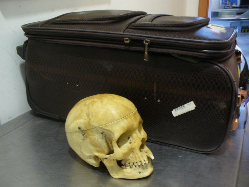 Nieczęsto w bagażach podróżnych znajduje się ludzkie...