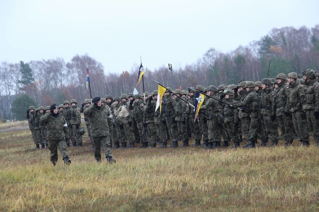 W ćwiczeniu Borsuk 17 uczestniczą pododdziały kilku jednostek  11. Lubuskiej Dywizji Kawalerii Pancernej. Wiodącą rolę odgrywają żołnierze „siedemnastej”, którzy wiele razy – na manewrach i podczas misji poza granicami kraju – potwierdzili swój profesjonalizm i przygotowanie do działań bojowych.   