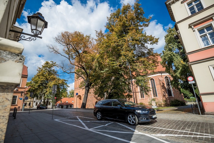 Kwestia parkowania przy katedrze podzieliła biskupa i...