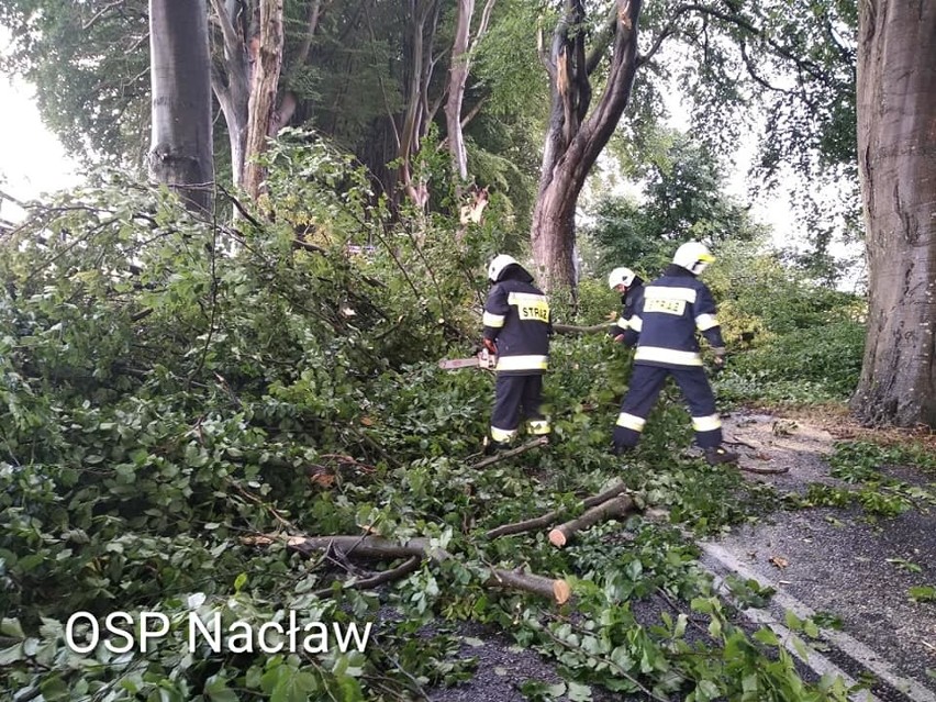 OSP Nacław: - O godzinie 17:05 zostaliśmy zadysponowani do...