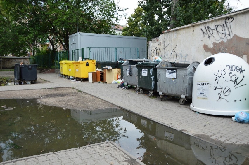 Śmietniki na podwórku w kwadracie ulic...