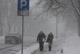Białystok szykuje się do zimy. Gotowi do odśnieżania.