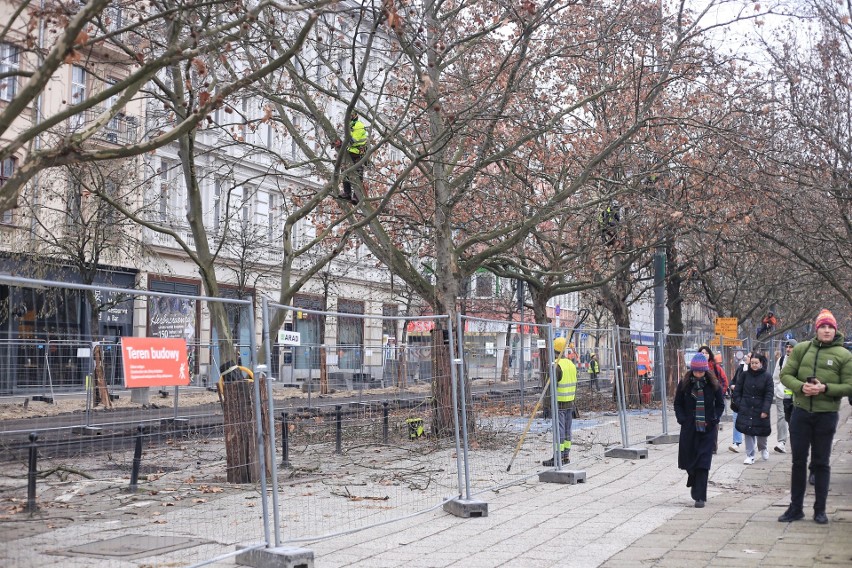 Obcinanie gałęzi drzew przy ul. 27 Grudnia.