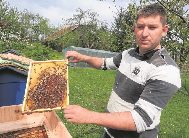 Rafał Bogacz z Bęczyna twierdzi, że to pestycydy ze stosowanych przez rolników nawozów doprowadziły do zagłady pszczół
