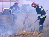 Duże straty po pożarze na polu w Jankowicach w okolicach Łasina 