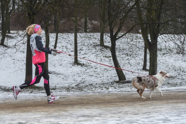 Wielkopolska: Prognoza pogody na poniedziałek, 23 stycznia 2017 [WIDEO]