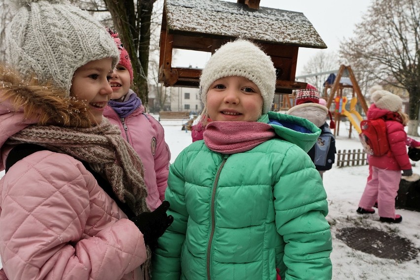 Przedszkole nr 2 w Łapach. Przedszkolaki mają zajęcia w lesie (zdjęcia)