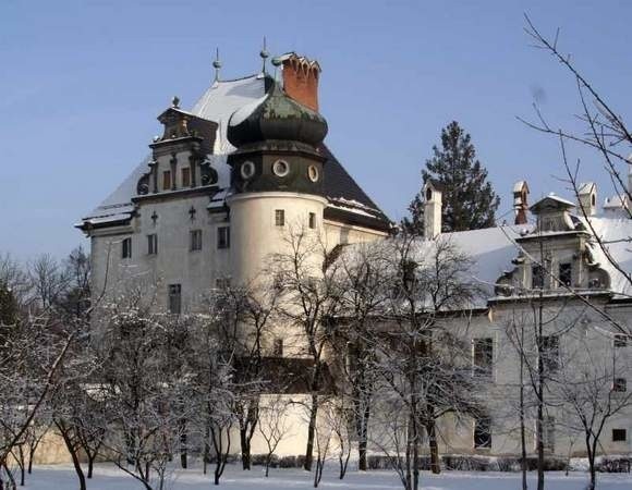 Zamek w Dąbrowie.