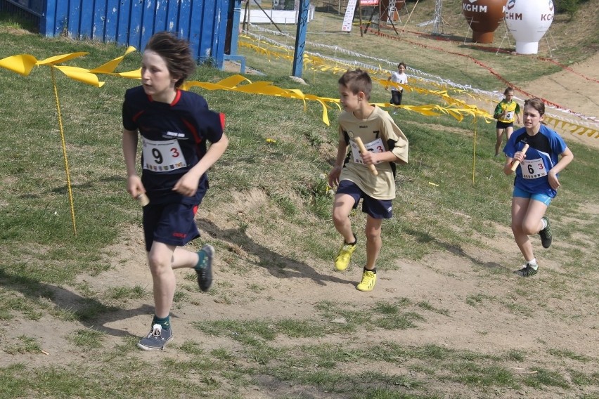 Cross Straceńców 2015. Sztafetowe Mistrzostwa Głogowa [Zdjęcia]