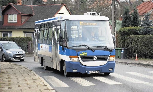 Na razie "kolejowe" autobusy kursują na dwóch trasach