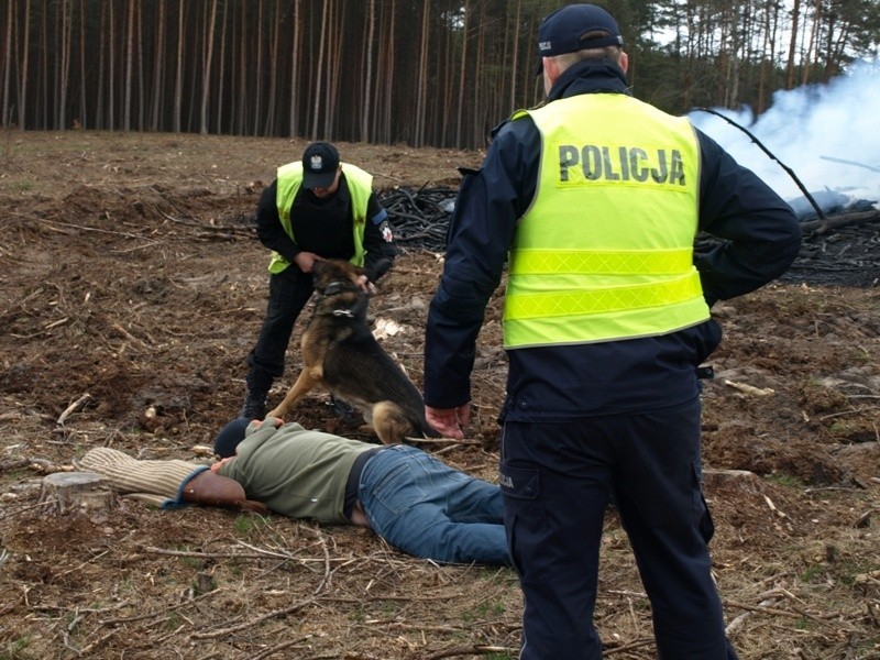 Pościg za sprawcami napadu z bronią w ręku - tak wyglądały ćwiczenia policjantów (zdjęcia)