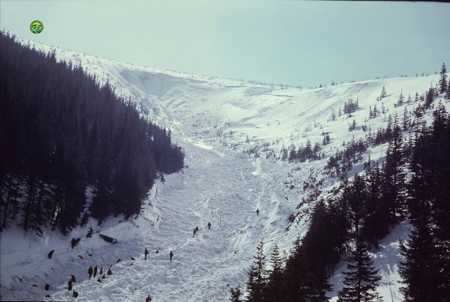 Lawina, która zeszła 20 marca 1968 roku w Białym Jarze w Karkonoszach była największym kataklizmem w polskich górach.