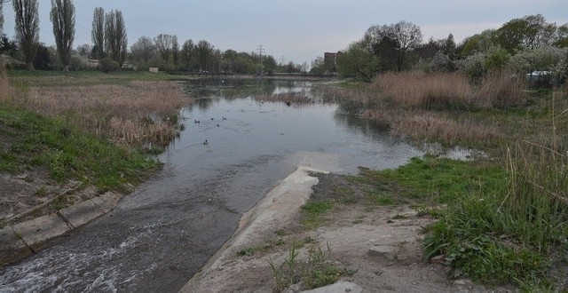 Przędzalka bez wody to widok przygnębiający.