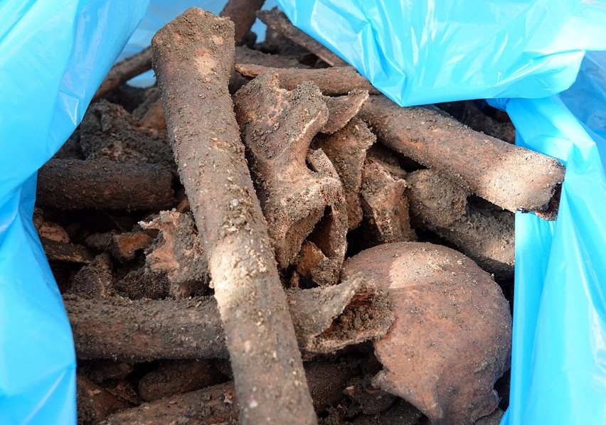 Nowy Sącz. Znaleziono ludzkie kości przy budynku Starostwa Powiatowego [ZDJĘCIA]