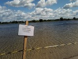 Białystok. Kąpielisko na zalewie Dojlidy zamknięte do odwołania. W wodzie wykryto groźne bakterie! (zdjęcia, wideo)