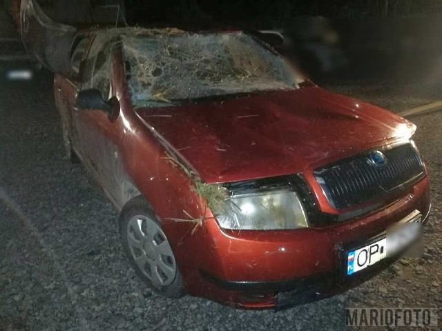 Skoda znaleziona w rzece w Dębiu pod Opolem.