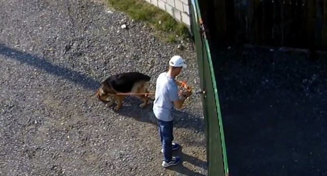 Piotr Kuryło, który biega w intencji miłości i pokoju porzucił psa. Przywiązał go do bramy schroniska na ponad 30-stopniowym upale