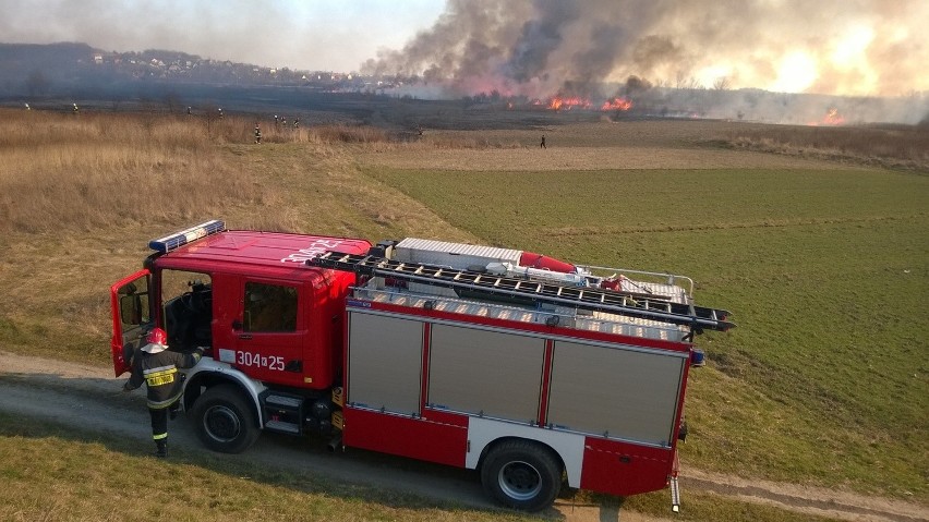 Pożar łąk w okolicach ul. Kolnej
