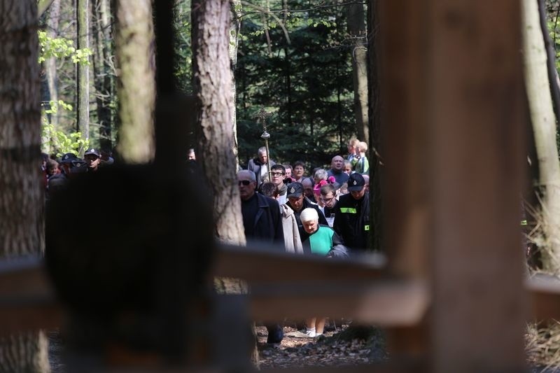 Wielkopiątkowa Droga Krzyżowa na Święty Krzyż