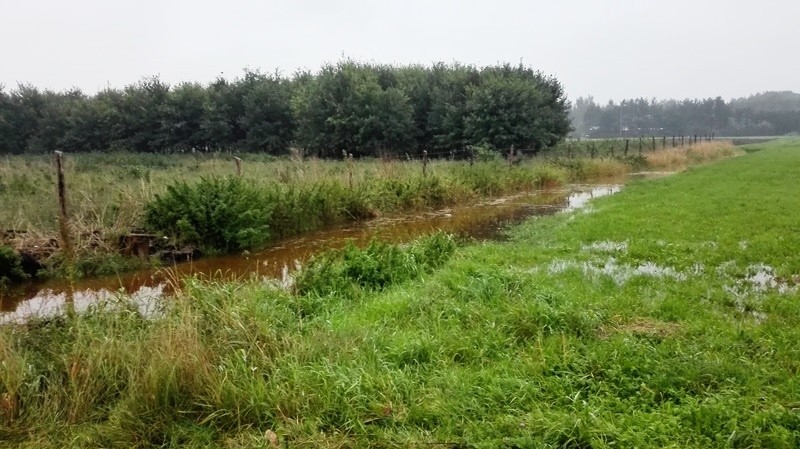 Wojewoda śląski: pogotowie powodziowe. Spadnie 60 mm deszczu. Stany alarmowe przekroczone