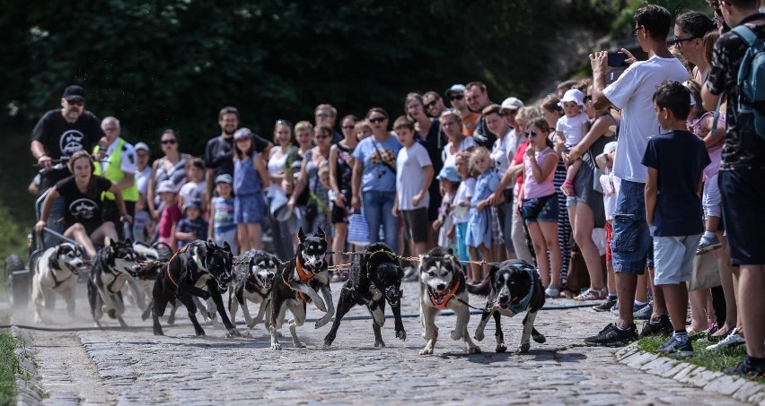 22.07.2018 Gdańsk
10. urodziny Centrum Hewelianum