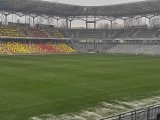 PKO BP Ekstraklasa. Taki jest stan murawy na Suzuki Arenie przed ważnym meczem Korona Kielce - Lech Poznań. Zobacz zdjęcia