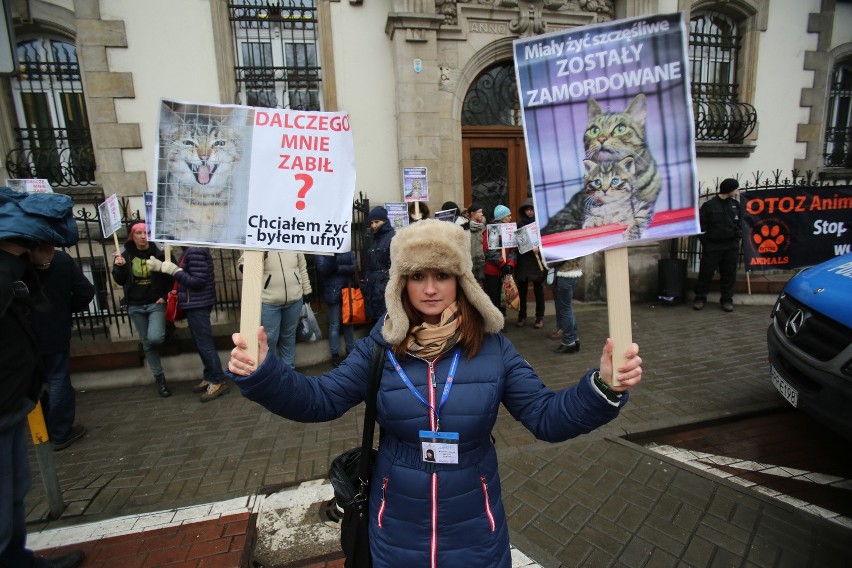 Morderca kotów z Zabrza: Rozpoczął się proces. Obrońcy...