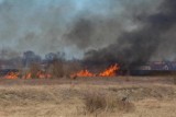 Gostyń: Pożary szalały pomiędzy Dusiną a Daleszynem [ZDJĘCIA, WIDEO]