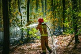 Pożary lasów w Małopolsce. Najwięcej zdarzeń w województwie odnotowali strażacy z powiatu olkuskiego
