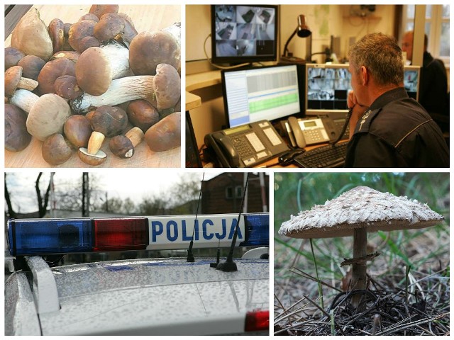 Policjanci szukali babci z wnuczką, które zaginęły w lesie.