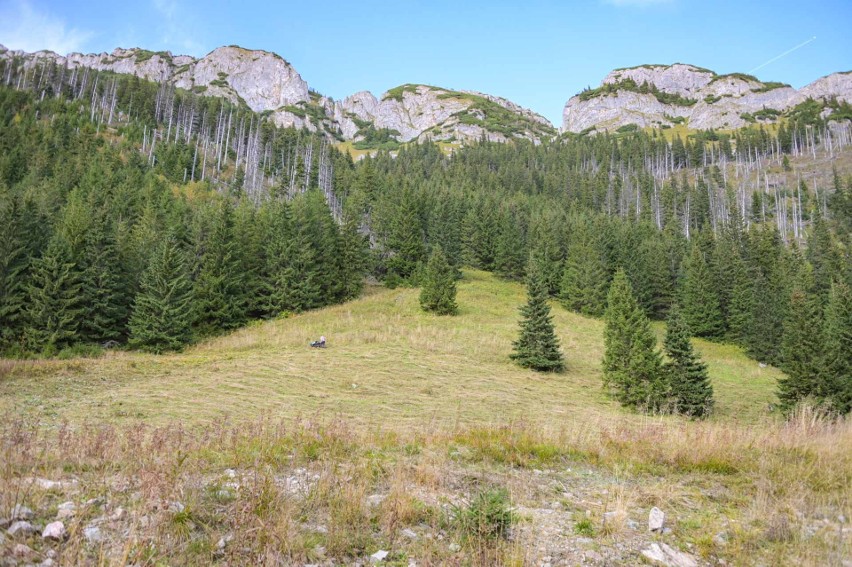 Koszenie trawy w Tatrach